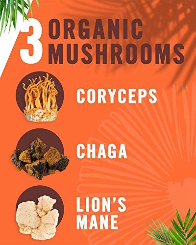 Laird Superfood Peruvian Medium Roast Coffee with Functional Mushrooms Certified Organic Peruvian Ground Coffee Beans Gluten-Free Dairy-Free Non-GMO Paleo Keto Friendly 12 oz. Bag Pack of 6
