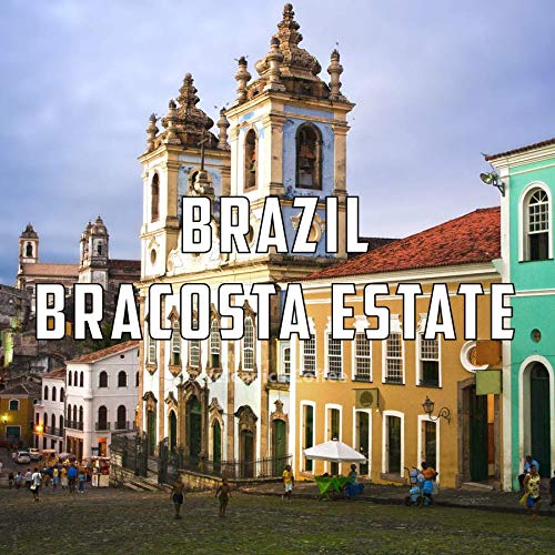 Brazil Coffee Bracosta Estate Ground Fresh Roasted 16-ounce
