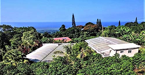 100% Kona Coffee – Whole Bean Medium roast Single estate gourmet coffee 8 ounces Farm fresh roasted from Domain Kona Coffee