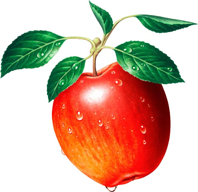Kirin Koiwai Apple Juice 430ml (Pack of 12) Value Pack No Preservatives No Coloring Japanese Koiwai Junsui Ringo Apple Juice Drink MADE IN JAPAN