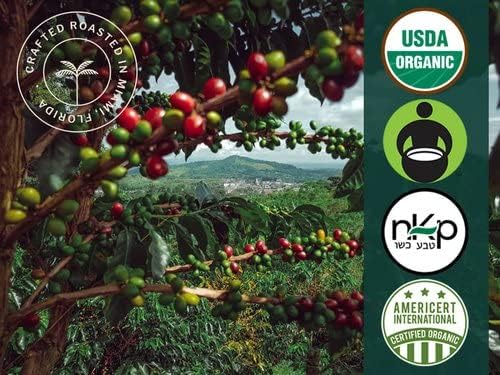 Artizan's USDA Organic Whole Bean Coffee | Manuka Honey Coffee RX Fusion | Medium-Dark Roast | 10 oz | Roasted in South Florida