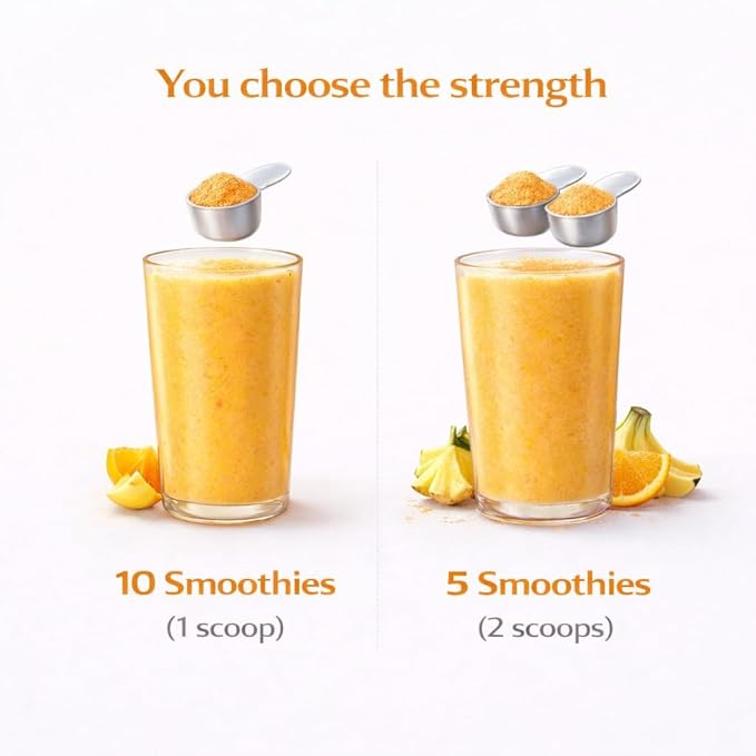 Tropical Smoothie Powder &amp Smoothie Mix – Freeze Dried Tropical Fruit Blend No Added Sugar Vegan Ready in Seconds 10 Servings