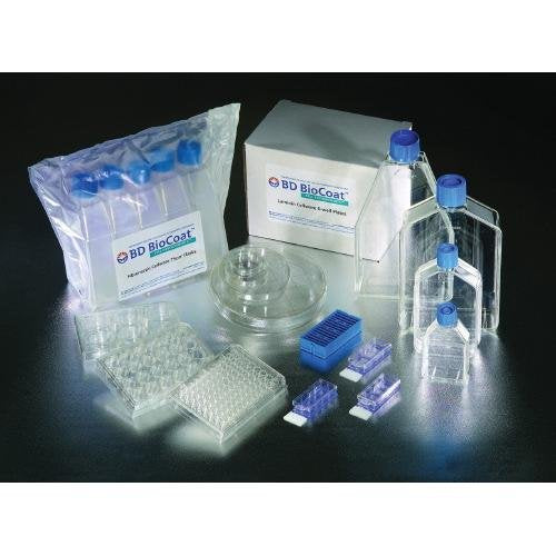 FLASKS Collagen I 150 CM2 VC CS5