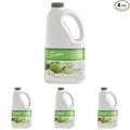 Torani Real Fruit Smoothie Mix Green Apple 64 Ounce (Pack of 4)