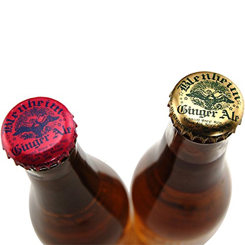 Blenheim Ginger Ale Spicy Sampler 12 Ounce (12 Glass Bottles)