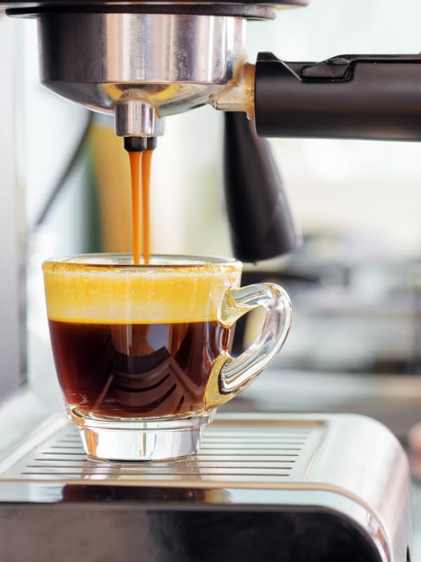 American Monarch Coffee Fıltre Dark Roast or Medium Roast (500 gr Fıltre Dark Roasted)