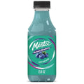 Mis-tic Vibrant Flavor Bahama Blueberry Juice 16 fl oz - 12 Plastic Bottles (Pack of 12 Bahama Blueberry)