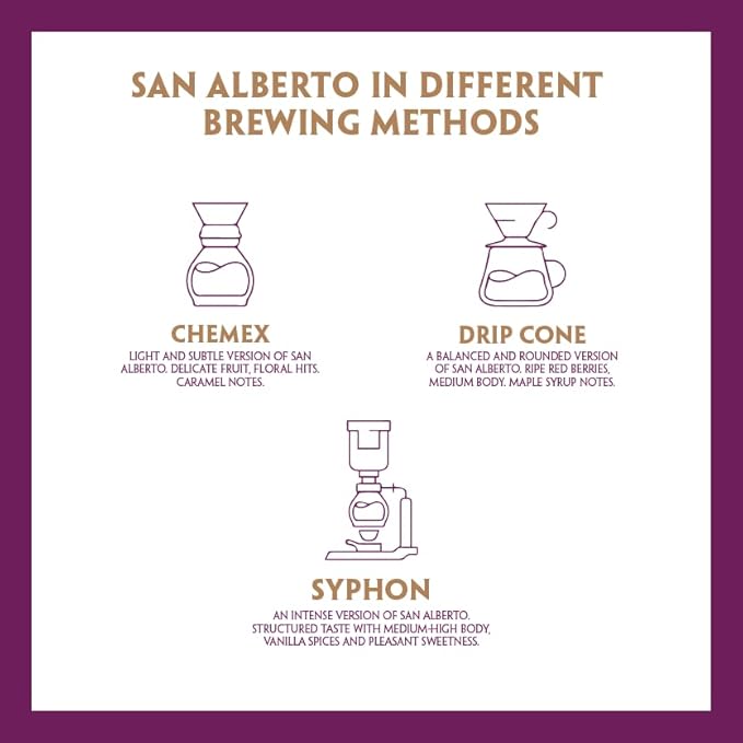 San Alberto Whole Bean Coffee - Single Origin &amp Specialty Colombian Arabica Coffee Medium Roast with Caramel &amp Dark Chocolate Notes - 12 oz