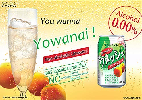 CHOYA Umeshu Non Alcoholic Plum Wine Soda 350 ml (Pack of 12) - 100% Wakayama Prefecture Plum - No Artificial Flavors No Additives Using Real Sugar - MADE IN JAPAN