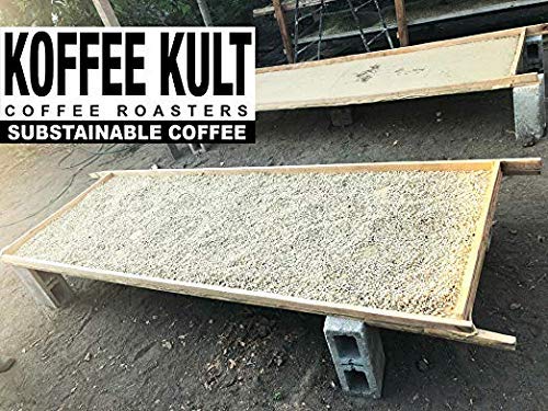 Koffee Kult Medium Roast Decaf Coffee Beans Colombian Single Origin 100% Arabica Naturally Swiss Water Process Chemical Free - 32oz Resealable package