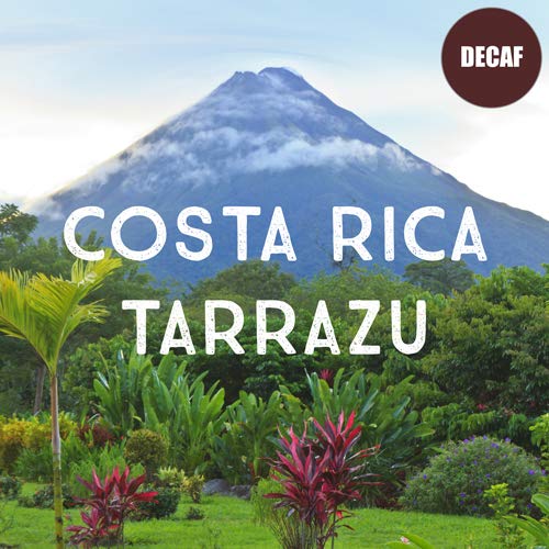 Costa Rica Decaf Tarrazu Coffee Ground Swiss Water Processed Rainforest Certified Fresh Roasted 5 lbs