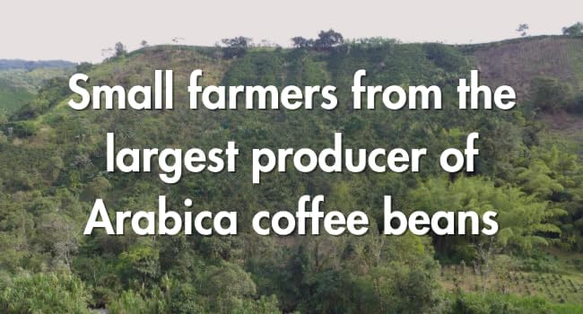 Café Grumpy Decaf Medium Roast Coffee Organic Single Origin French Press Premium Medium Grind for Pour Over &amp Cold Brew Low Acid 12oz