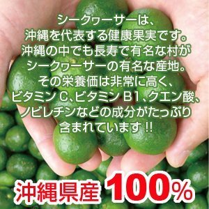 Okinawa specialty 100% tightly Shikuwasa (single) Chura Island Okinawa