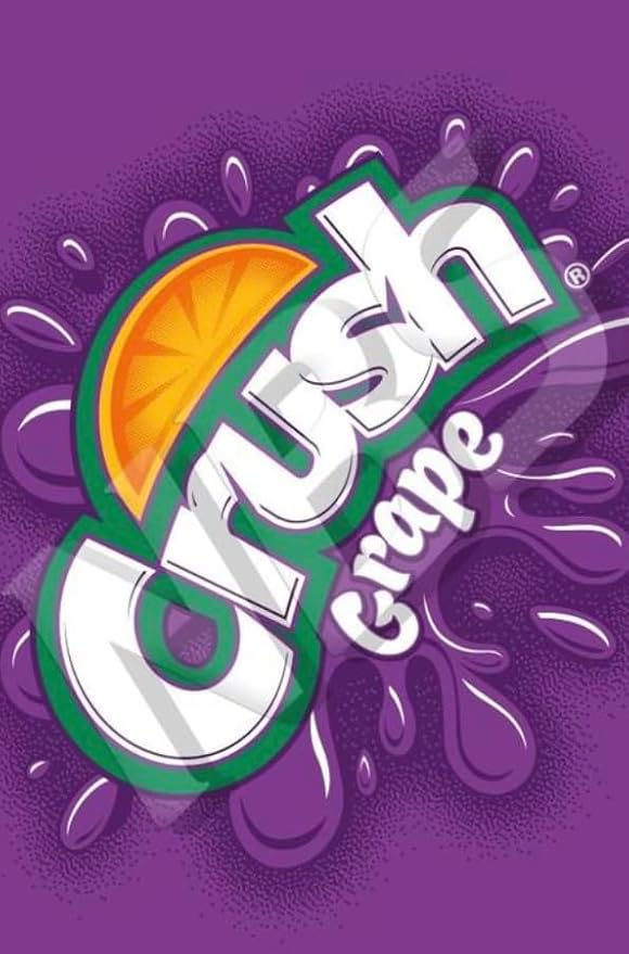 Crush Grape 20 oz Bottle (Pack of 10)