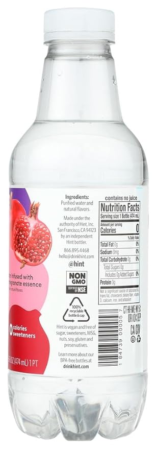 Hint Fizz Raspberry Lime 16 Fl Oz
