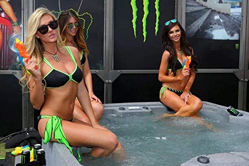 Monster Energy Ultra Rosa 16 ounce cans (Ultra Rosa 4 Cans)