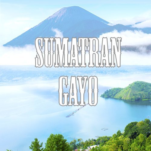 Sumatra Gayo Coffee Ground Low Acid Fair Trade Fresh Roasted 5 lbs