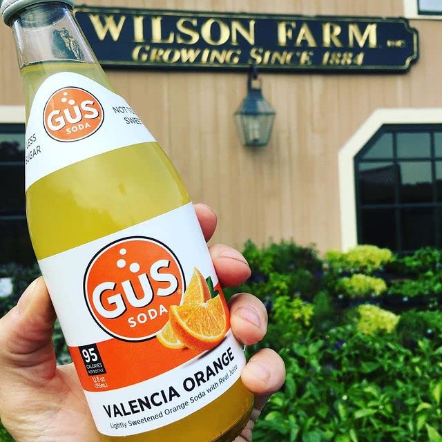 GuS Grown-Up Soda | Lightly Sweetened Sodas with Real Juices | 12 Fl Oz (Pack of 24) (Dry Valencia Orange)