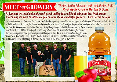 Langers Cider 100% Apple 101.4 Fl Oz (Pack of 4)
