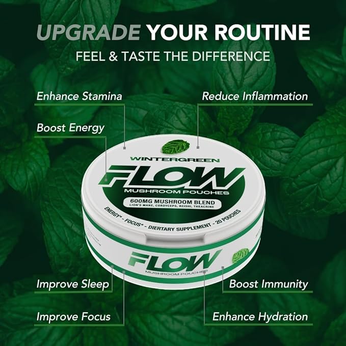 Mushroom Nootropic Pouches - 600mg Organic Mushroom Energy Ultra Pouches with Lion's Mane Reishi Cordyceps for Focus &amp Clean Energy - Zero Caffeine or Sugar (5 Can Pack Wintergreen)