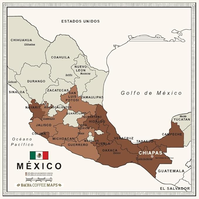 Bacha Coffee | El Flamingo Decaf Single Origin Ground Beans Medium Dark Roast 100% Arabica Specialty Coffee 250g Autograph Collection Gift Box
