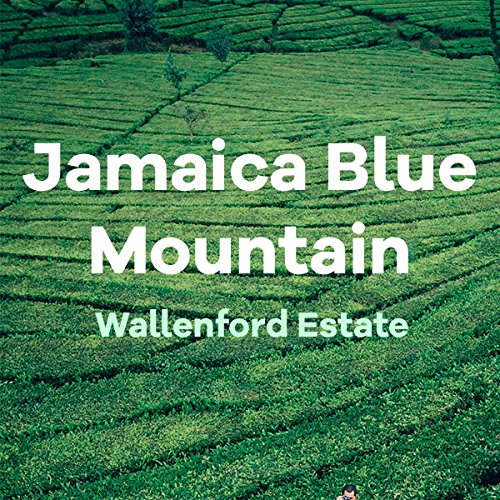 Jamaica Blue Mountain Coffee Wallenford Whole Bean 100% Certified Fresh Roasted 16-ounce