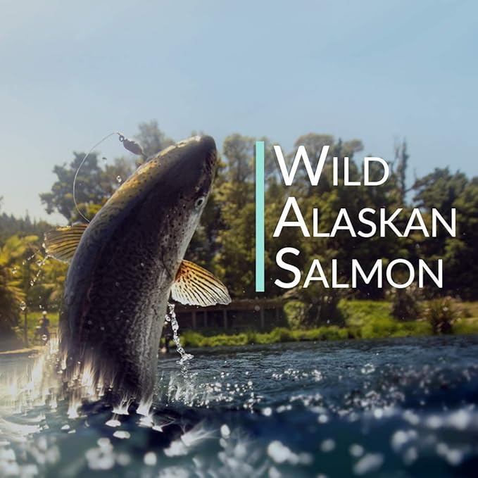 Wild Alaskan Salmon Bone Broth Collagen Powder 5LB Pure Protein Non-Gelling Type - Unflavored No Taste