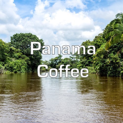 Panama Coffee Boquete Region Ground Fresh Roasted 16-ounce
