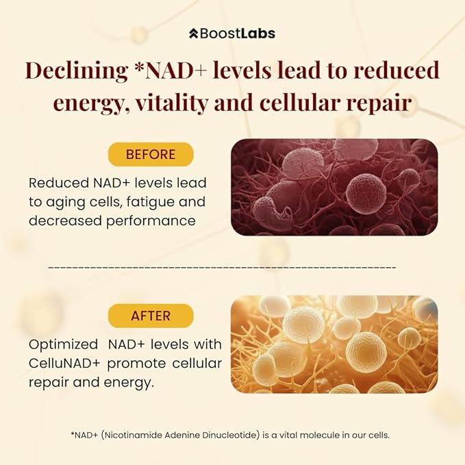 Liposomal NAD+ Supplement Liquid Drops - High Potency NMN Alternative for Cellular Energy Healthy Aging &amp Brain Fog - Fast-Absorbing NAD Liquid Formula (2oz)