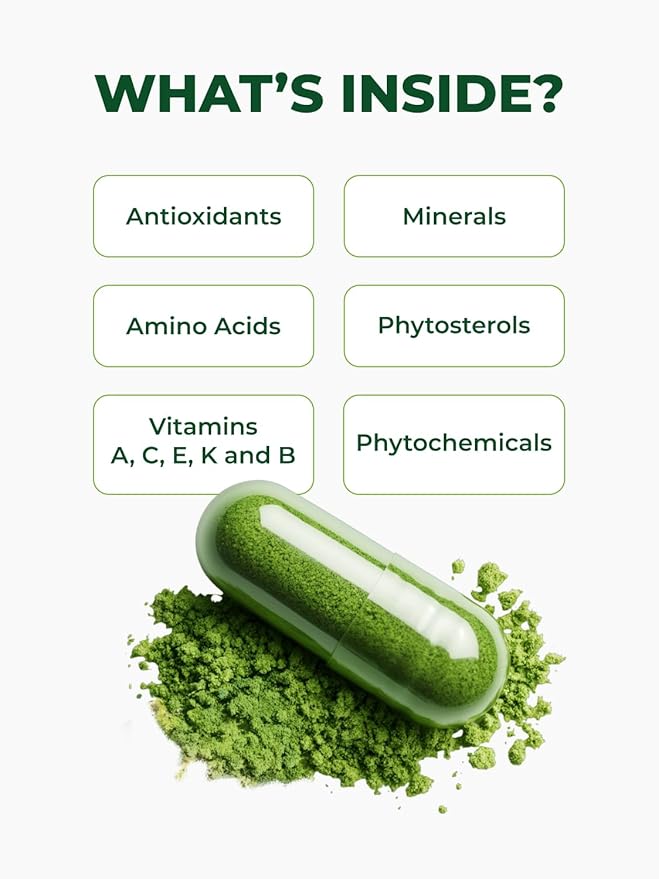 PURA VIDA MORINGA Organic Moringa Capsules Pure Moringa Leaf Powder Single Origin for Energy Metabolism &amp Immune Support 120ct 500mg Caps