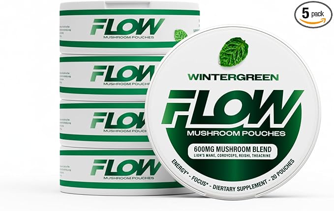 Mushroom Nootropic Pouches - 600mg Organic Mushroom Energy Ultra Pouches with Lion's Mane Reishi Cordyceps for Focus &amp Clean Energy - Zero Caffeine or Sugar (5 Can Pack Wintergreen)