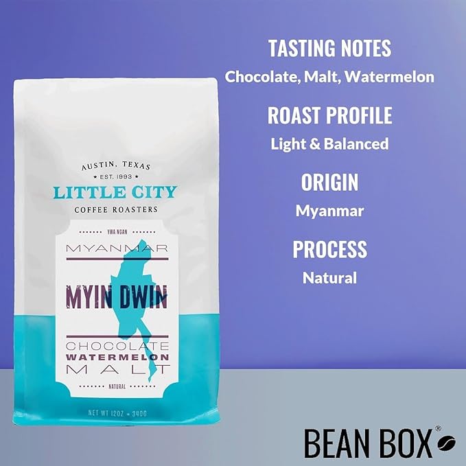 Myanmar Myin Dwin - Roasted by Little City Coffee Roasters - Freshly Ground Coffee - 12 Ounce Bag