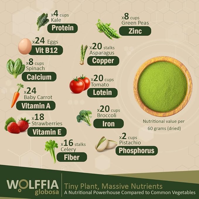 Premium Dried Wolffia globosa Superfood | Low Carb High Protein 40% | Rich in Minerals Vitamins A E B12 &amp Essential Amino Acids | The Future of Sustainable Plant-Based Nutrition 2.11 oz (60g)