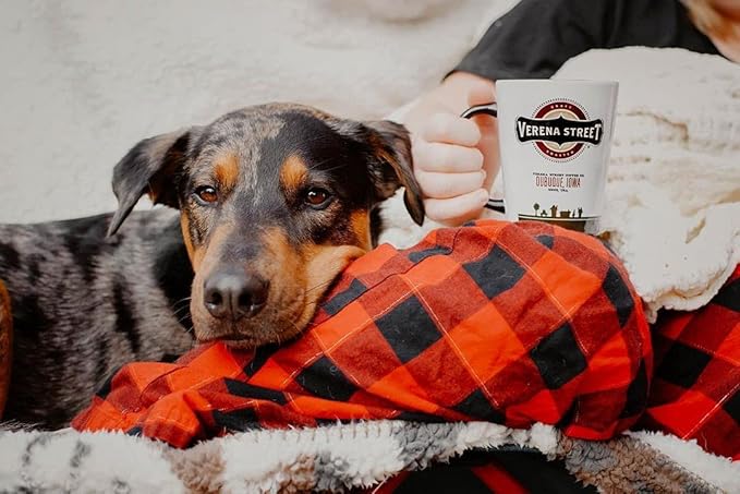 Verena Street 5 Pound Whole Bean Coffee Medium Roast Julien's Breakfast Blend Rainforest Alliance Certified Arabica Coffee