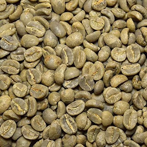 Fresh Roasted Coffee Unroasted Kenya AA Kosher 5 Pound