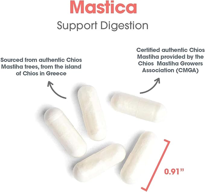 Allergy Research GroupMastic Gum 60 ct