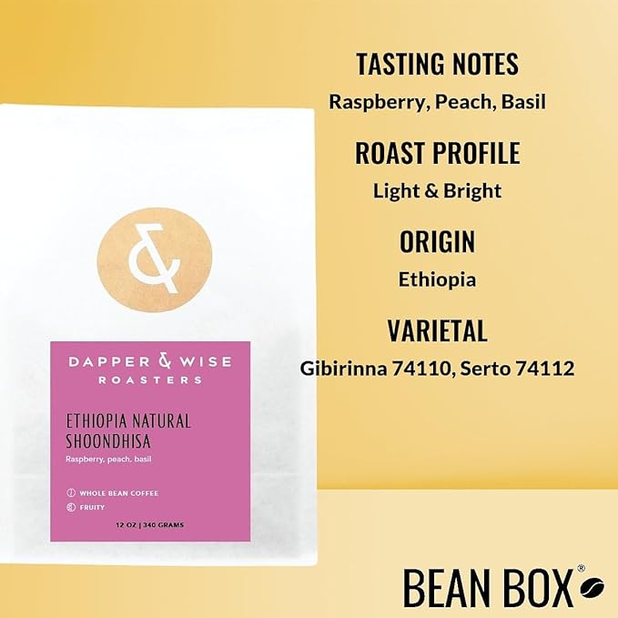 Bean Box Sampler - Roasted by Dapper &amp Wise 3-Pack Freshly Ground Coffee Gourmet Coffee