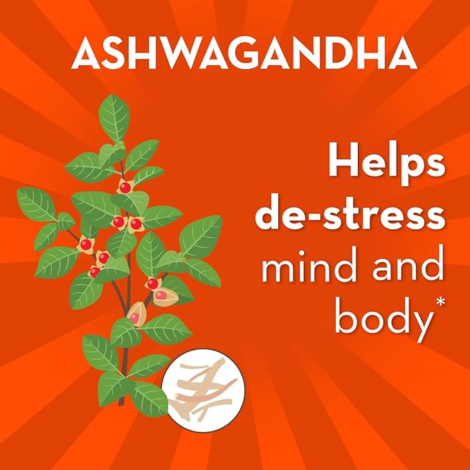 Align Probiotic Gut Health + Stress Support with Probiotics for Digestive Health and Ashwagandha to Help Calm Mind and Body* #1 Doctor Recommended Brand‡ 21 Capsules