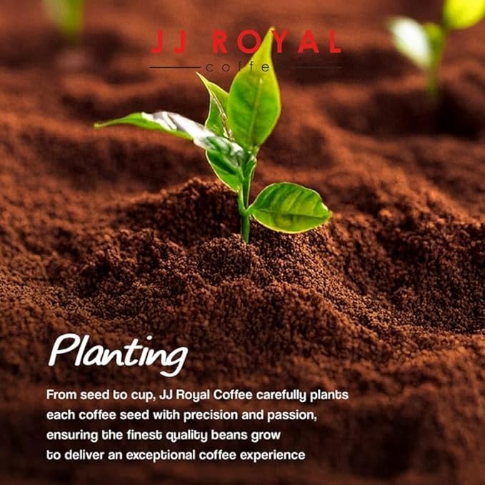 JJ Royal Coffee Flores Arabica 200g Ground Coffee (Pack of 2)