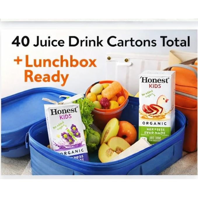 Kids Variety Pack Organic Juice Drink Cartons 40 Count (6 fl oz Each) – Super Fruit Punch Appley Ever After Berry Good Lemonade &amp Goodness Grapeness – USDA Organic No Added Sugar