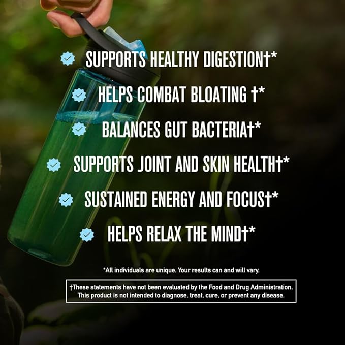 ROUNDHOUSE PROVISION Morning Kick Zero Sugar Greens Superfood Powder Supplement 3 Pack and Qi Master Wellness Bundle by Chuck Norris