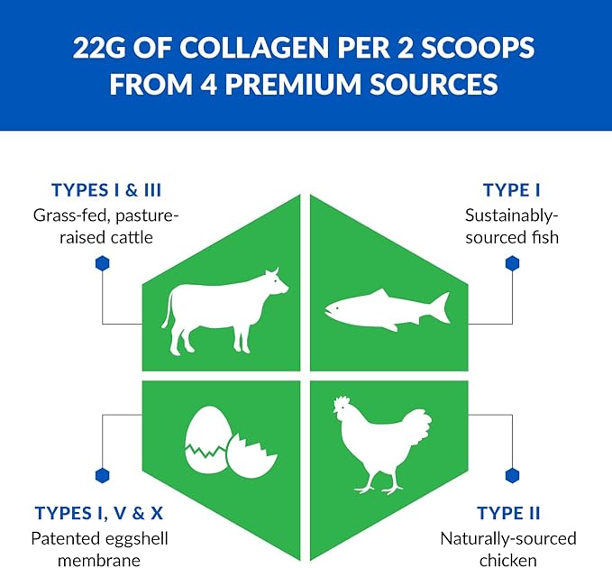 BioTrust Ageless Multi Collagen Peptides Powder – 5 Types (I II III V X) – Unflavored Collagen Powder for Women &amp Men – Hydrolyzed Protein – Grass Fed Beef Fish Chicken Eggshell Membrane 2