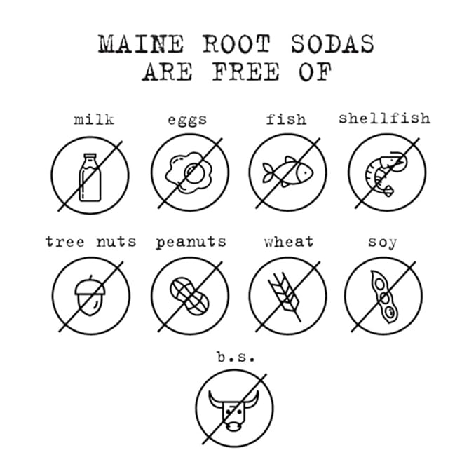 Maine Root Hand Crafted Blueberry Soda 12 fl oz (24 Glass Bottles)