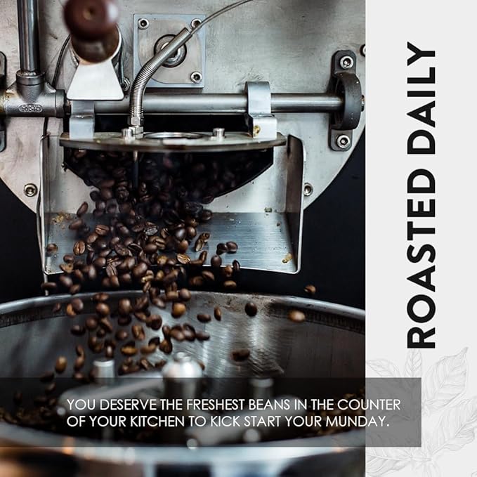 Munday Coffee Freshly Roasted Specialty Coffee - Curated from the World's Top 1% - Chosen by Experts Whole Bean Medium Roast Full Body Low Acidity - 10 oz (Ethiopia)