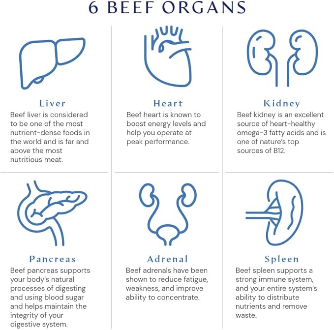 BodyHealth Organ+ Grass-Fed Glandular Organ Complex Grassfed Beef Organ Supplement Dessicated Beef Liver Heart Kidney Pancreas Spleen Non GMO Adrenal Supplement (150 Capsules)