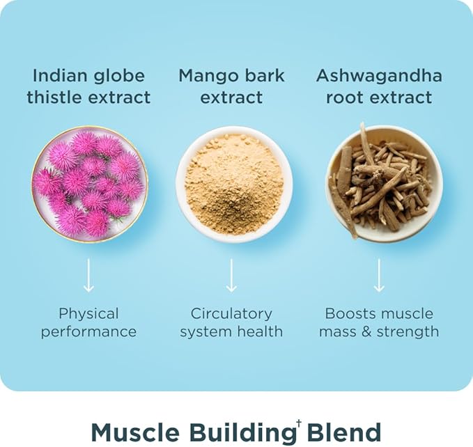 Ancient Nutrition Advanced Multi Collagen Protein Capsules Muscle 90 Count
