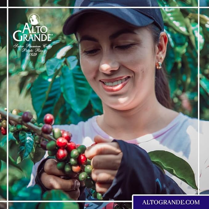 Alto Grande Super Premium Arabica Coffee - Grand Lares Dark Roast - Single Serve Espresso Capsules for Nespresso Machines 60 Count