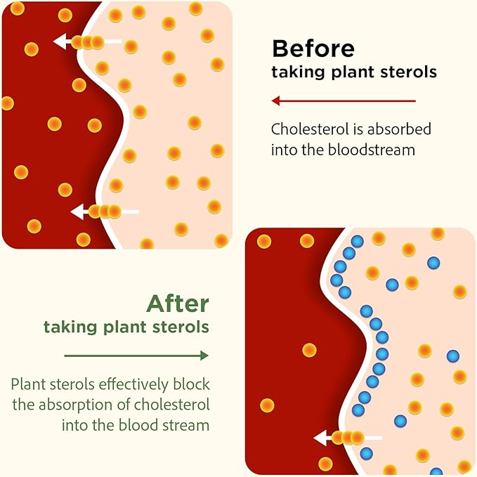 Advanced Cholesterol Lowering Supplements &amp for High Cholesterol | Liquid-Filled Capsules for Maximum Absorption | Plant Sterols Policosanol Bergamot Extract | Triple-Action Formula180 Capsules