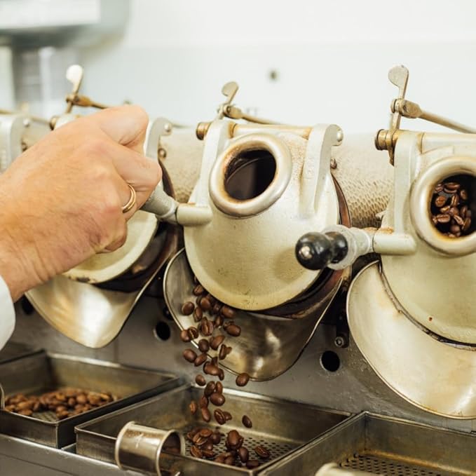Dallmayr Dallmayr coffee prodomo Prodomo 250g
