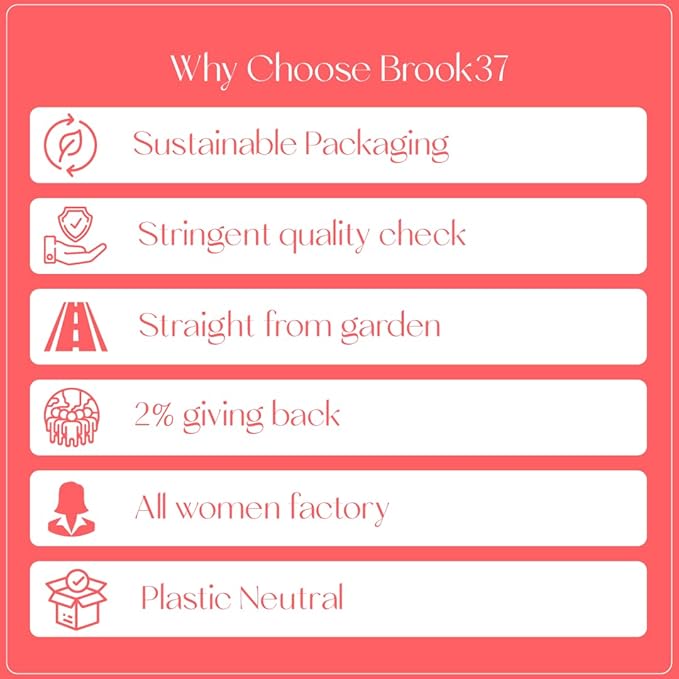 Brook37 Bourbon Street Sip - Premium Exotic 2nd Flush Black Darjeeling Tea | Caffeinated | 20 Tea Bags Canister | Breakfast tea | Award Winning Tea Gifts
